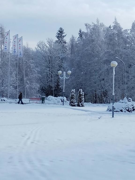 Загородные дома Usadba Tikhaya Dacha Dobrenevo