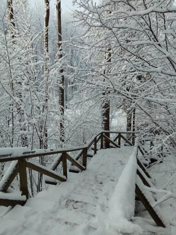 Загородные дома Usadba Tikhaya Dacha Dobrenevo